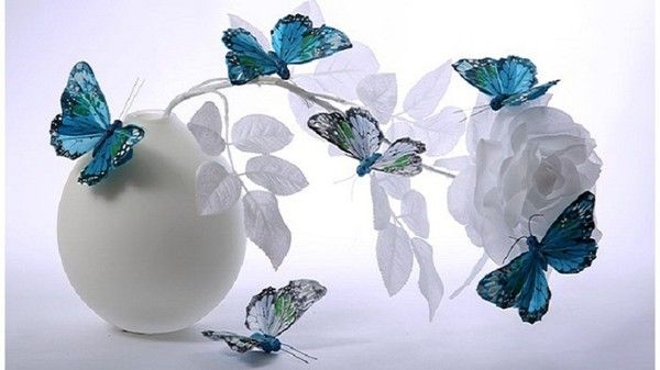Jolie rose blanche et papillon bleu